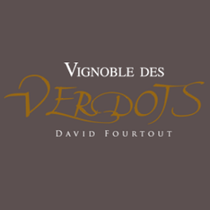 Southwest France, France: Vignoble des Verdots